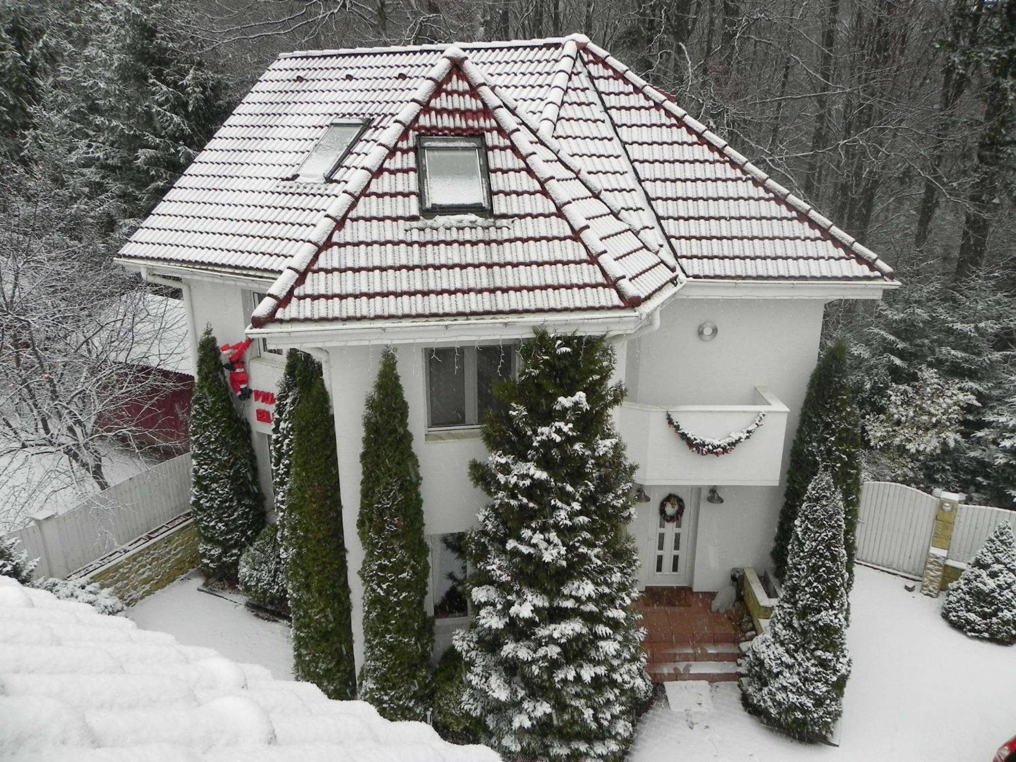 Boutique Hotel Forest Retreat (Adults Only) Buşteni Exterior foto