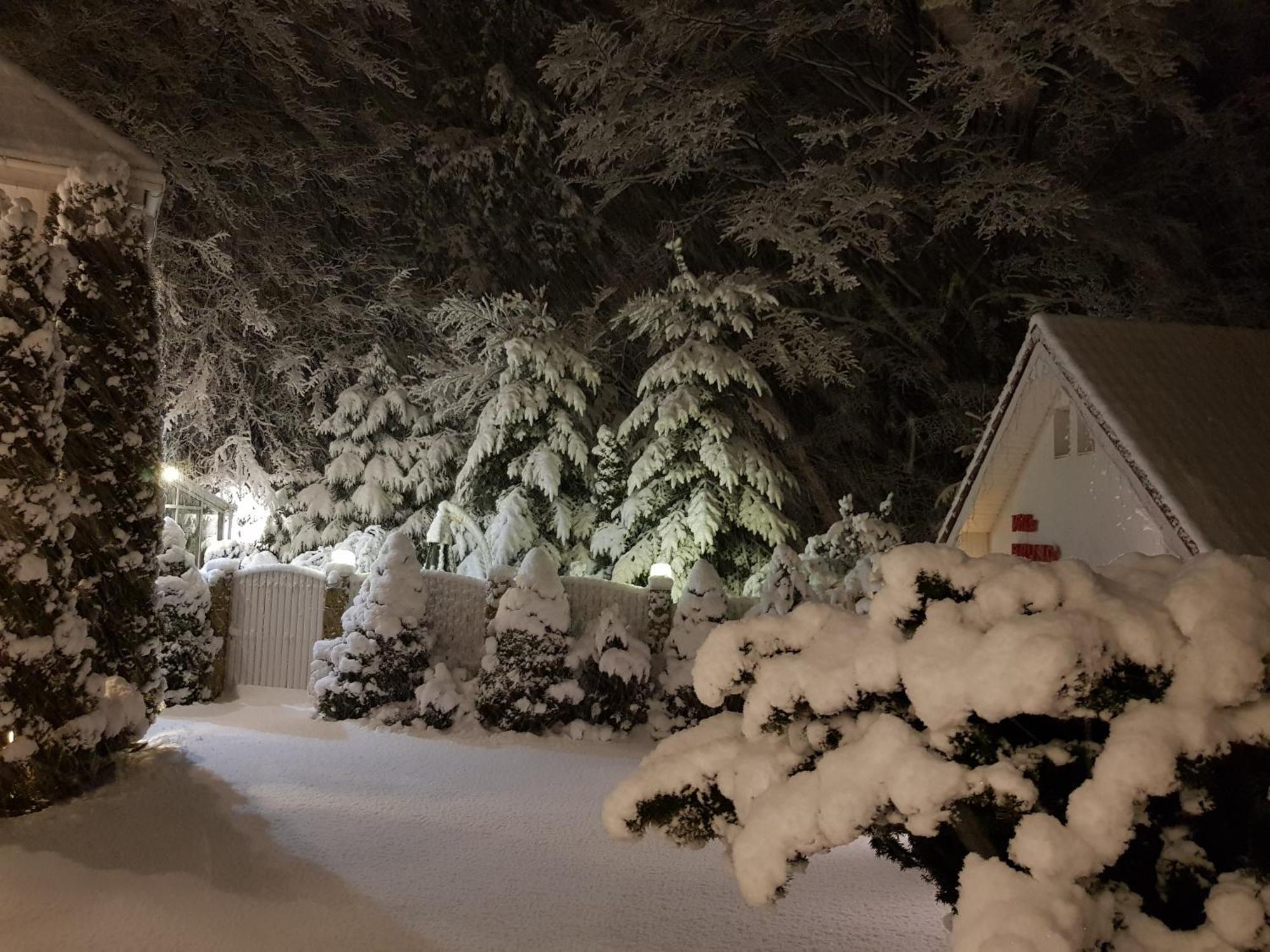 Boutique Hotel Forest Retreat (Adults Only) Buşteni Exterior foto