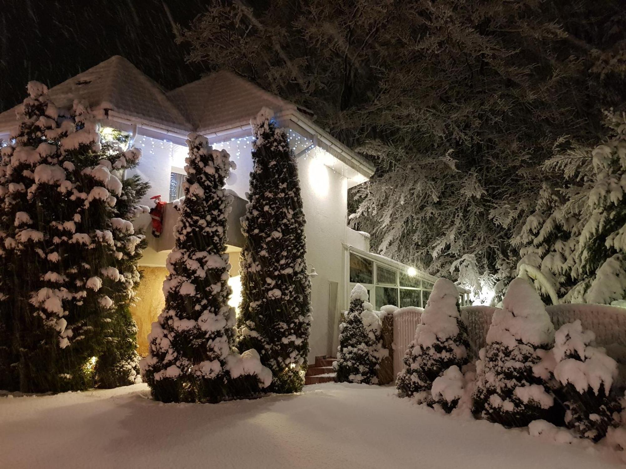 Boutique Hotel Forest Retreat (Adults Only) Buşteni Exterior foto