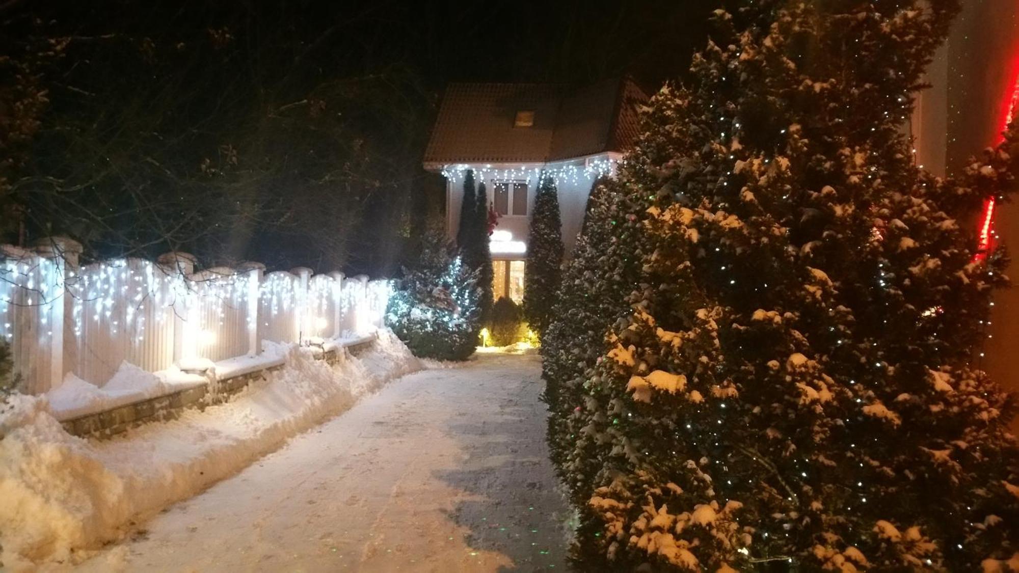 Boutique Hotel Forest Retreat (Adults Only) Buşteni Exterior foto