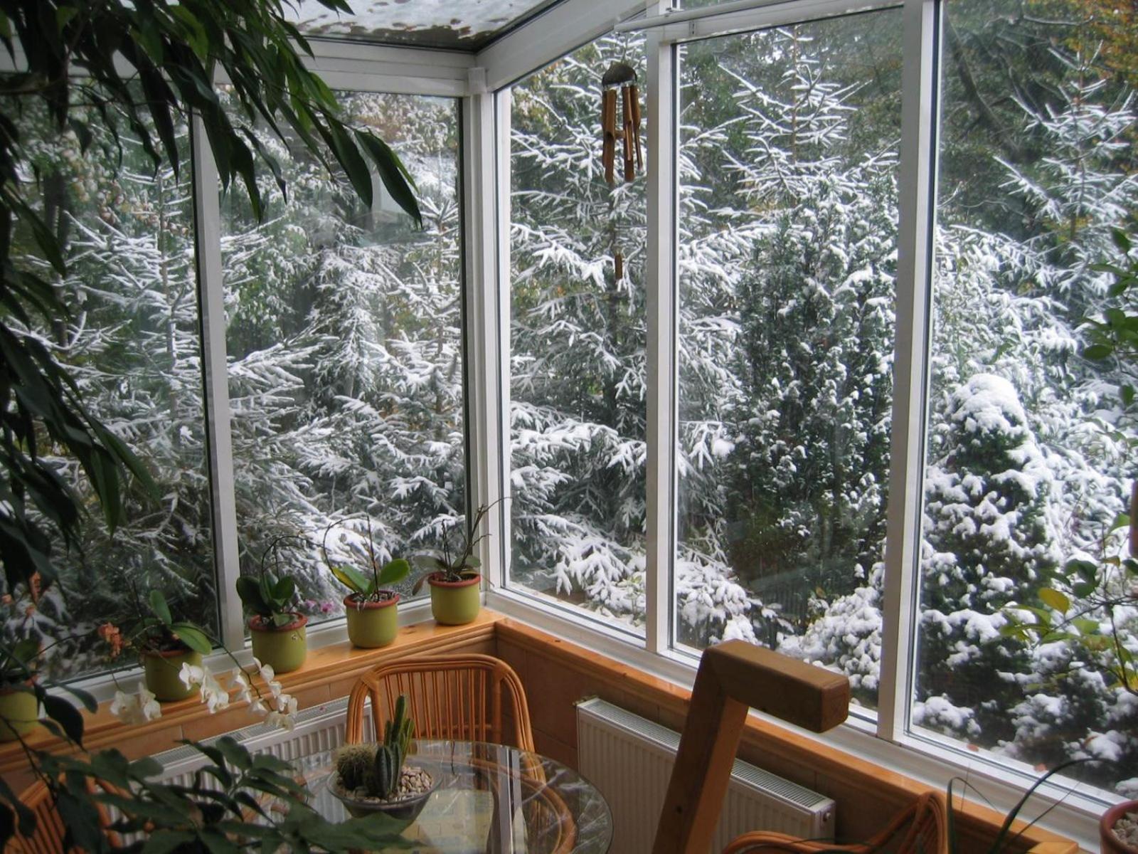 Boutique Hotel Forest Retreat (Adults Only) Buşteni Exterior foto