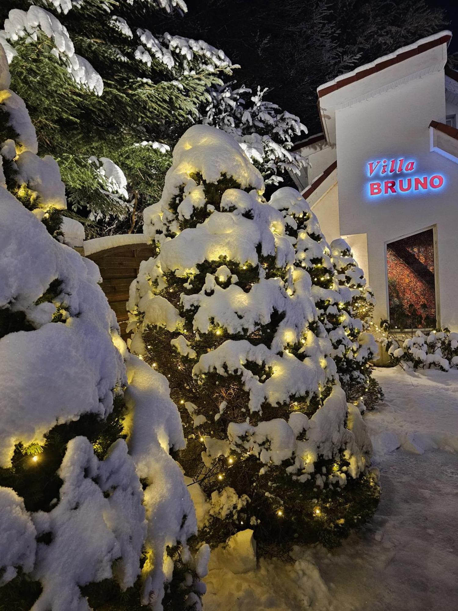Boutique Hotel Forest Retreat (Adults Only) Buşteni Exterior foto